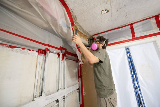 Best Mold Removal for HVAC Installations  in Weatogue, CT