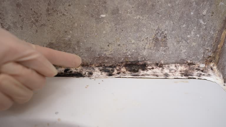 Best Residential Mold Inspection & Testing  in Weatogue, CT