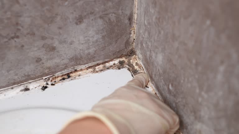 Best Indoor Air Quality Assessment  in Weatogue, CT